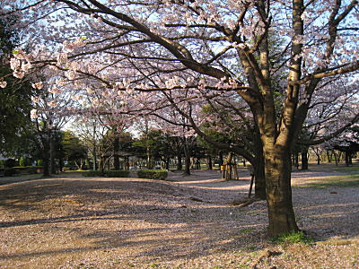 d0046702_1073884.jpg