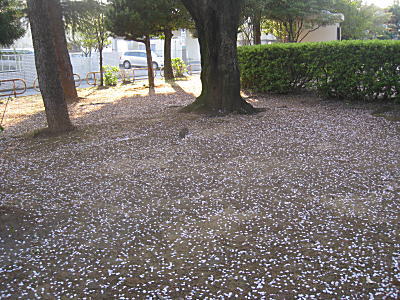d0046702_1081749.jpg