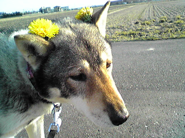 f0079202_16522082.jpg
