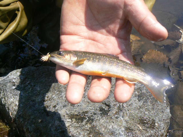 f0164503_2116168.jpg