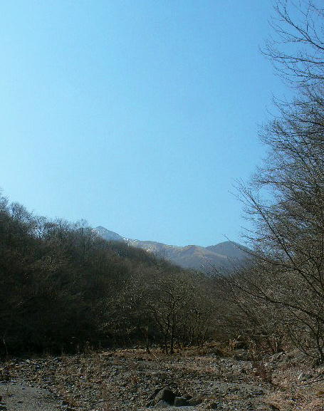 f0164503_21305798.jpg