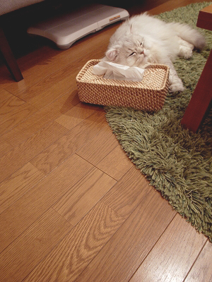 f0195204_1034082.jpg