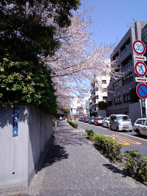 a0088007_2102281.jpg
