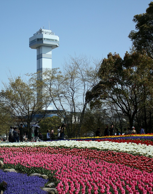 a0116107_1828560.jpg