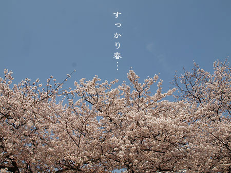 a0041508_12354222.jpg