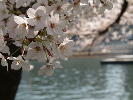 a0041508_1236283.jpg