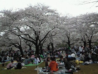c0015010_1311739.jpg