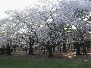 c0015010_1315136.jpg