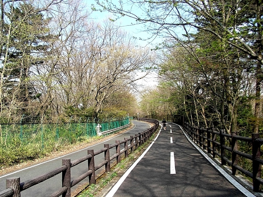 e0066210_0403222.jpg