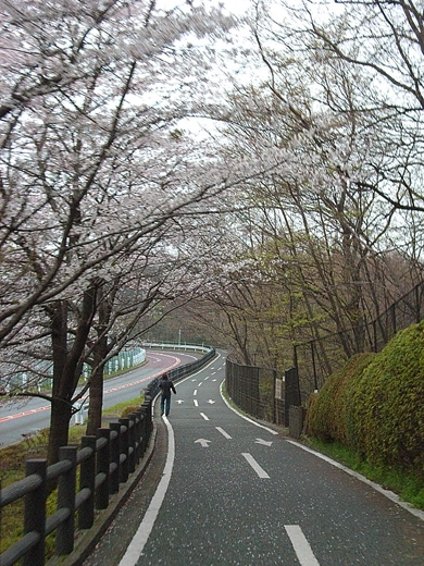 e0066210_18163.jpg