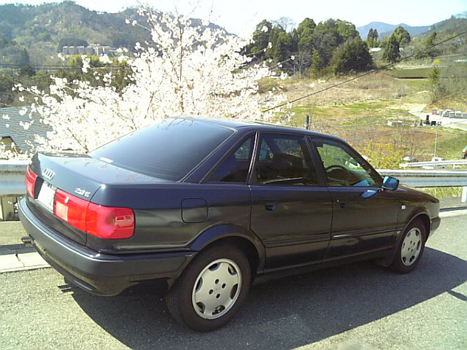 f0098210_1324743.jpg