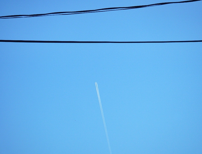 d0144618_20125539.jpg