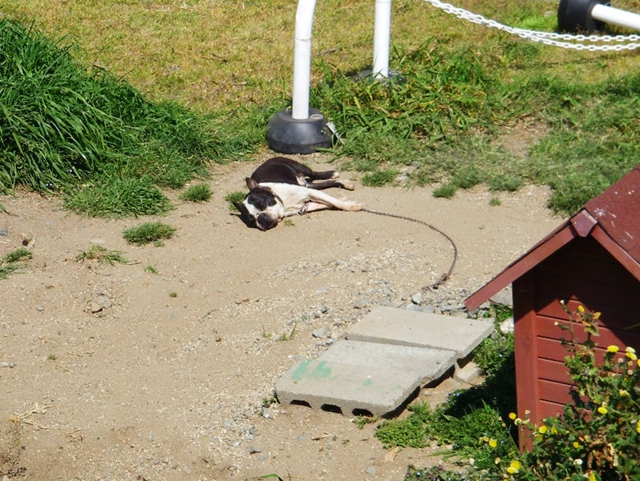 d0144618_2014275.jpg