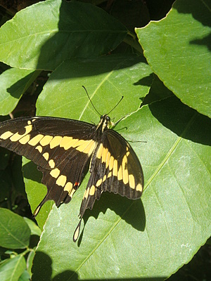 f0108318_10155135.jpg