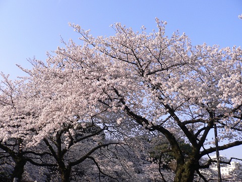 f0117618_028331.jpg