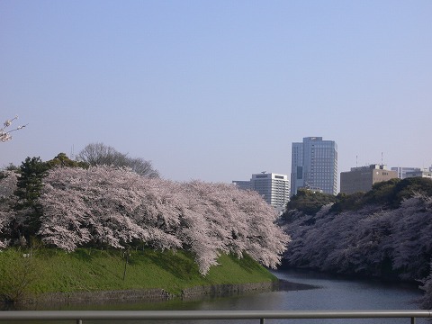 f0117618_0291624.jpg