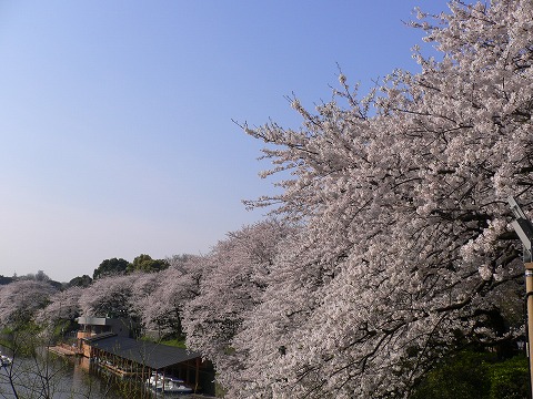 f0117618_02932.jpg