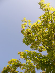 b0133123_1394855.jpg