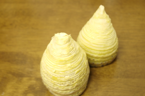 d0012323_21273358.jpg