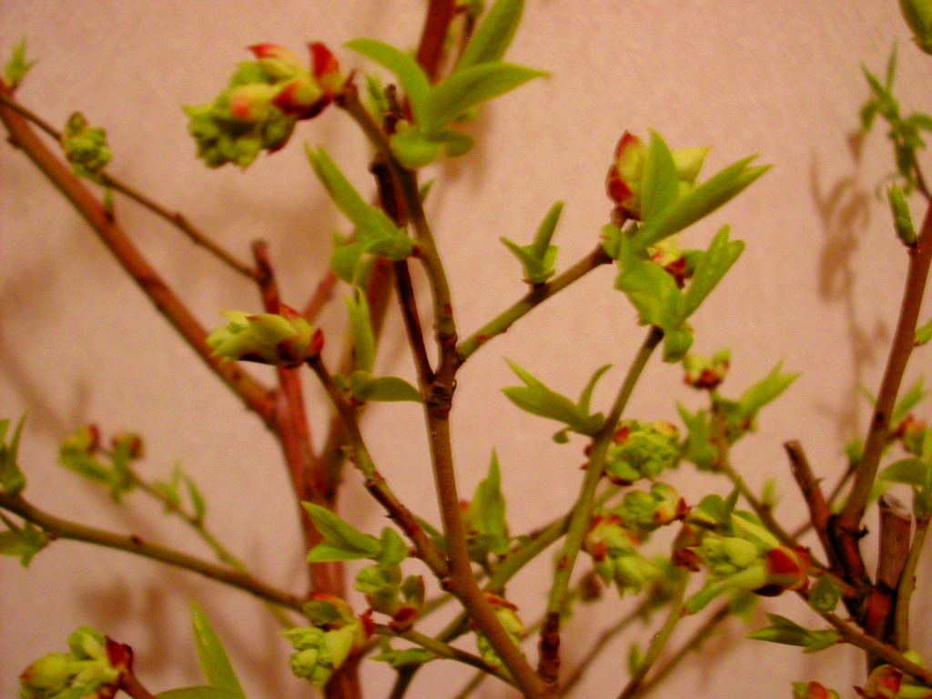 a0102824_23521148.jpg
