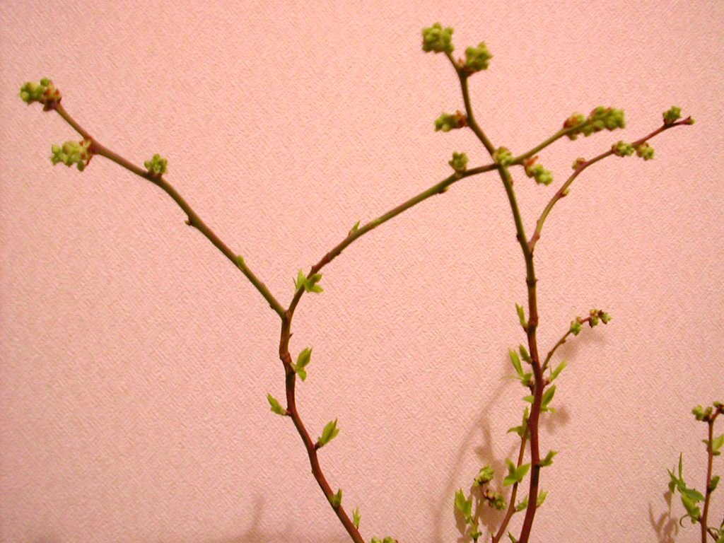 a0102824_23532645.jpg