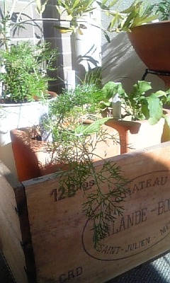 c0141025_152703.jpg