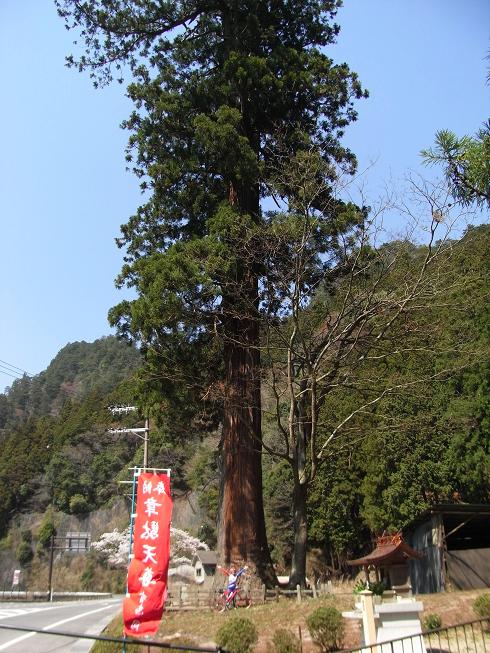 c0188525_3501067.jpg