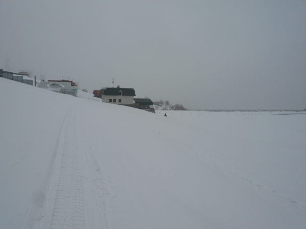 a0049226_2403144.jpg