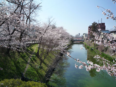 d0004426_1524165.jpg