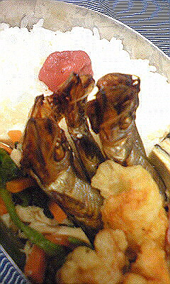c0197628_5384976.jpg