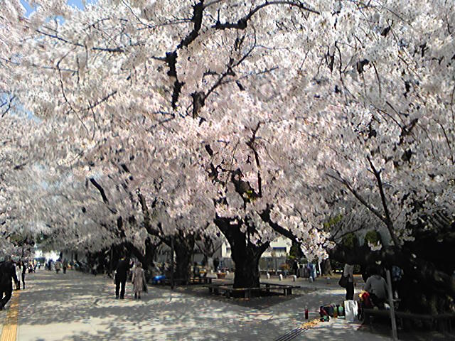 f0190328_20384275.jpg