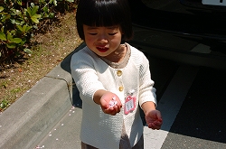 a0092129_15464246.jpg