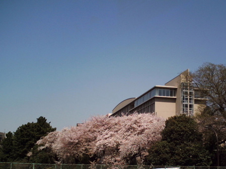 f0165831_11421786.jpg