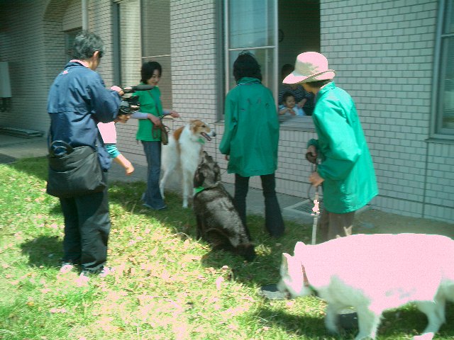 c0114833_2119138.jpg