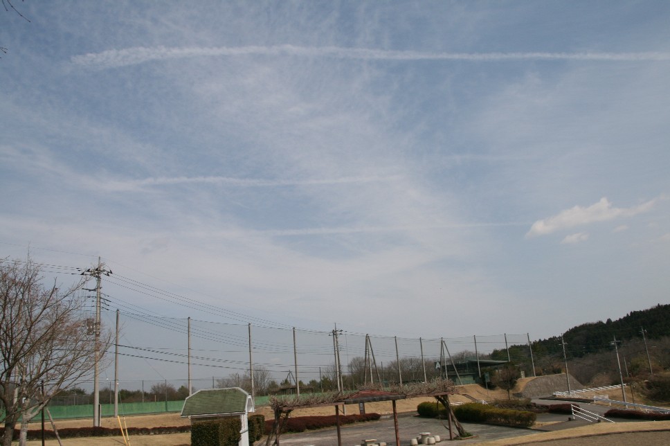 d0140533_17292317.jpg