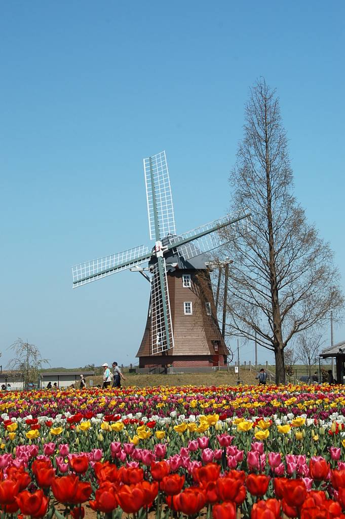 f0032335_15345766.jpg