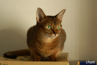 c0132438_2284964.jpg