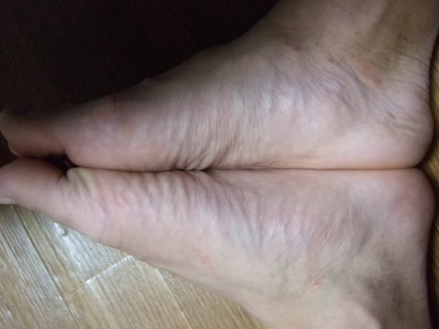 f0117038_010235.jpg