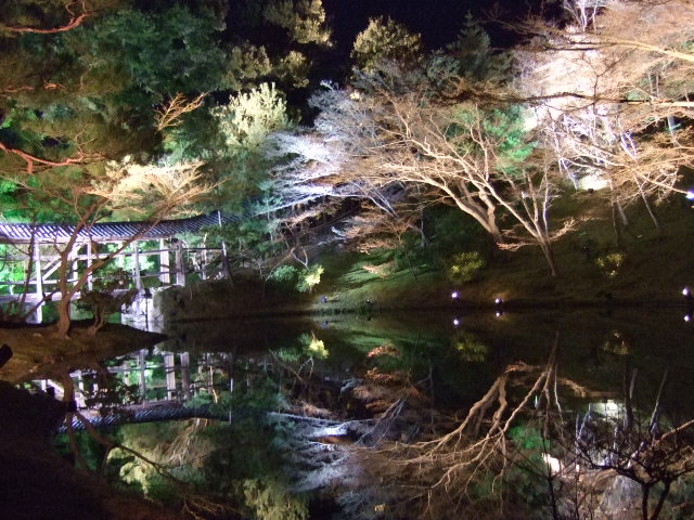 f0117038_0291359.jpg