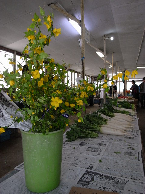 a0087341_1051614.jpg