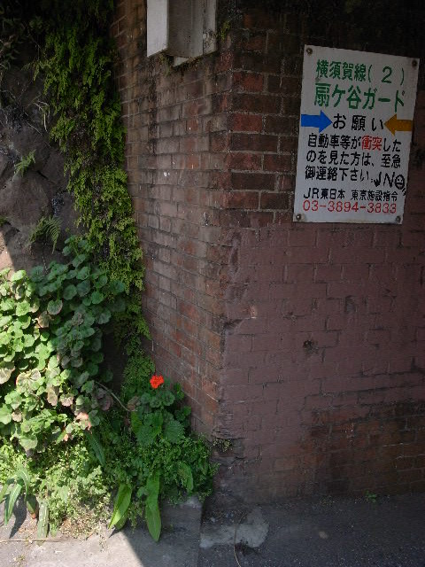a0087341_1054149.jpg