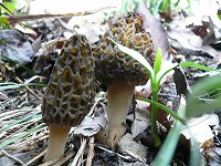 f0169942_20562448.jpg
