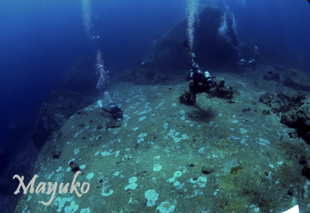 e0027447_21164345.jpg