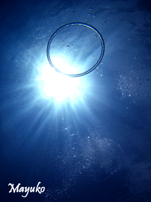 e0027447_2131395.jpg