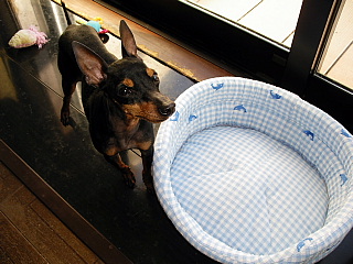 c0123149_20362157.jpg