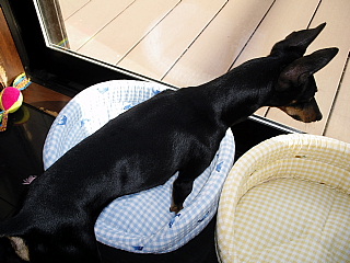 c0123149_20371670.jpg