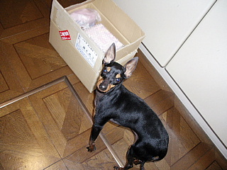 c0123149_2043464.jpg