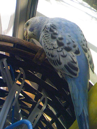 f0083649_16554253.jpg