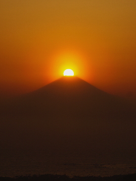 a0003150_1925124.jpg