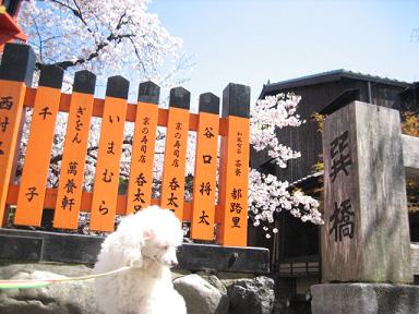 c0049950_11163020.jpg